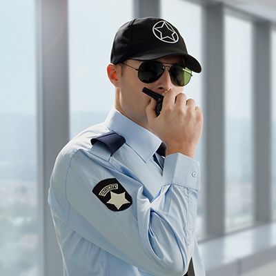 SEGURIDAD